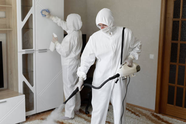 Attic Mold Removal in Southport, NC